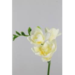 Fresia Hol. Volante 55cm 20gr "T50"