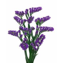 Statice Hol. Cryst. Dark Azul 60cm 25gr "T25"