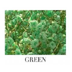 Paniculata Ecu. Tint. Green 750gr "T25"