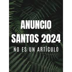 .Alstroemeria para Santos 2023