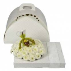 Foxi uni color white