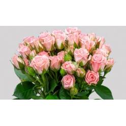 Ramificada Overig Rosa 70cm