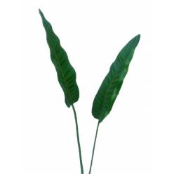 Hoja Estrelitzia Ex 90cm ( 7 Dias-2)