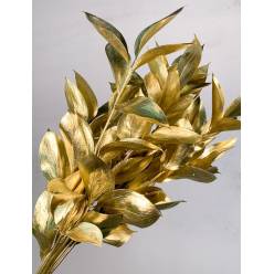 Ruscus Pintado Oro 60cm