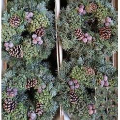 Corona Nobilis+pias 30cm