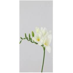 Fresia Hol. Diamond River 55cm 25gr "T50"