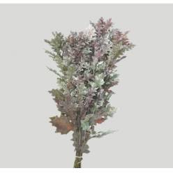 Roble Hol. Ov. Blanco 80cm Pintado