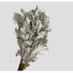 Roble Hol. Palustra Blanco 80cm Pintado