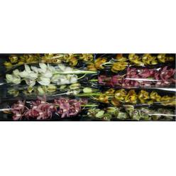 Cymb Mini Mixta 70cm