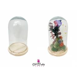 Cupula Classic 15x25Hcm "T6"