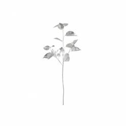 Pick Hoja Ruscus Plata 83cm