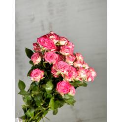 Ramificada Haley 60cm