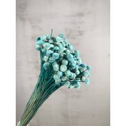 Botton Botao Seco Azul 50cm 100g