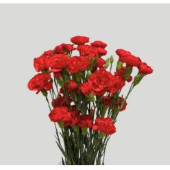 Clavel Col. Mini Select Rojo