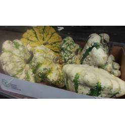 Calabazas Patisson Mixta 18/20cm