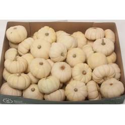 Calabazas Pepo baby Boo