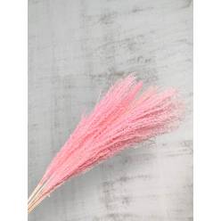 Eulalia Seco Rosa 70cm 100g