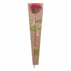Funda Pure Basic 14x60Hcm (x50uds)