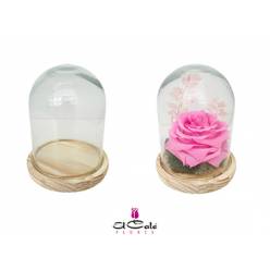 Cupula Classic 12x15Hcm "T6"