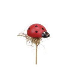 Pick Mariquita con Rafia 23,5Hcm (x72uds)