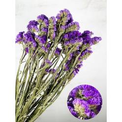 Statice Seco Azul 70cm