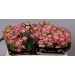 Ramificada Pink Bijoux 50cm Rs.