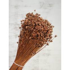 Glixia Seca Marron Oscuro 150g