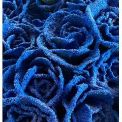 Brassica Nac. Nieve Azul + Purp.