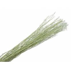 Ramaje White Lady Seco Verde 90cm (10 Tallos)