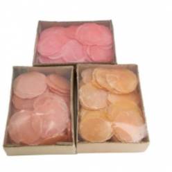 Conchas Capiz Salmon 520g