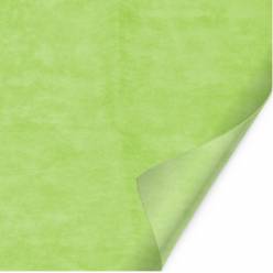 Lamina Nonwoven Verde 50x50cm (x200uds)