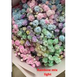 Paniculata Ecu. Rainbow Light 750gr "T25"