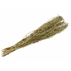 Ramaje Palak Seco Verde 70cm 100g
