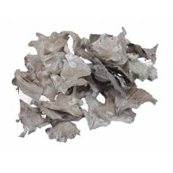 Petalos de Rosa de Cedro Seco White Wash 500g