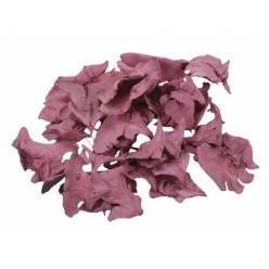 Petalos de Rosa de Cedro Seco Rosa 500g