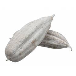 Fruta Jhinga Gris (10uds)