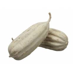 Fruta Jhinga Amarillo (10uds)