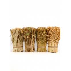 Ramilletes Secos (set 4 modelos) 12x30Hcm