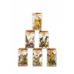 Tarro de Cristal con Flores Secas 10x18Hcm