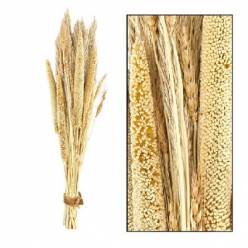 Bouquet de Plumas y Babala Natural/Blanco 250g 75cm