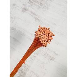 Botton Botao Seco Naranja 50cm 100g