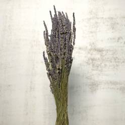 Lavanda Seca 50g