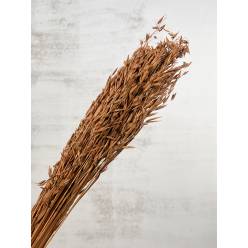 Avena Seco Naranja 60cm 75g