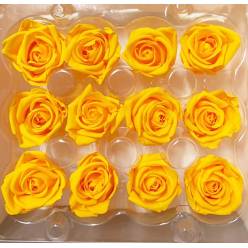 Rosa Preservada Kiara Amarillo Caja 12 Cabezas 2.5x2.5Hcm
