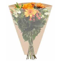 Funda Pure Basic 45x60Hcm (x50uds)
