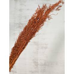 Alfonso Grass Nature Terracotta 100cm 100g