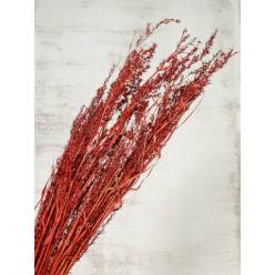 Alfonso Grass Nature Burgundy 100cm 100g