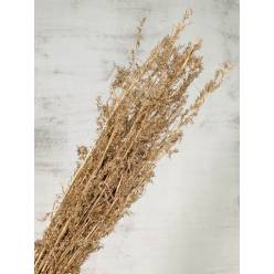 Alfonso Grass Nature Natural 100cm 100g
