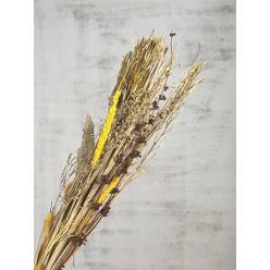 Bouquet Flores Secas Nature Amarillo 14x60Hcm