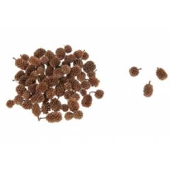 Casuarina Natural 1kg